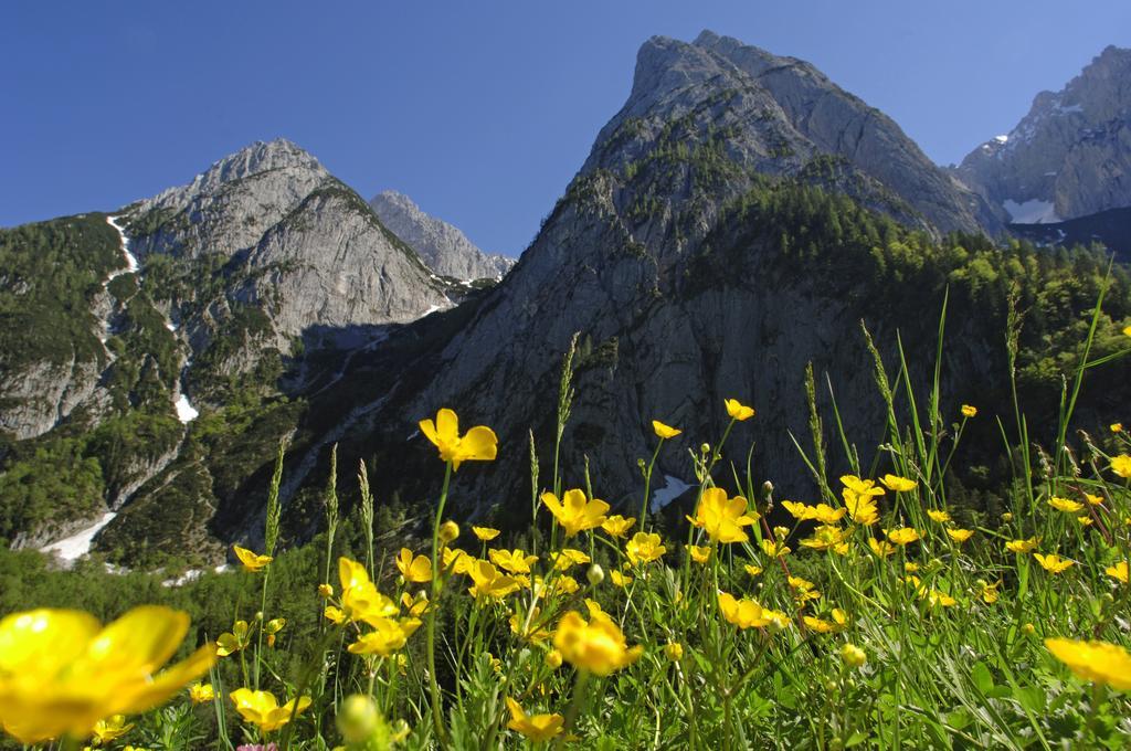 Landgasthof Mauth Kirchdorf in Tirol Zewnętrze zdjęcie
